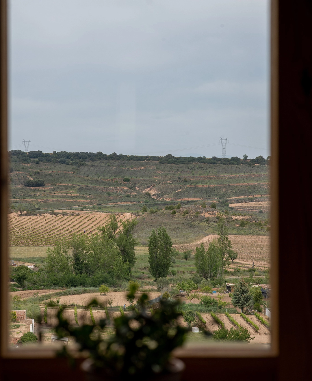 Cerca a La Ruta del Vino